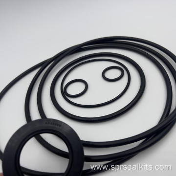 SANY Swing Motor Seal Kit